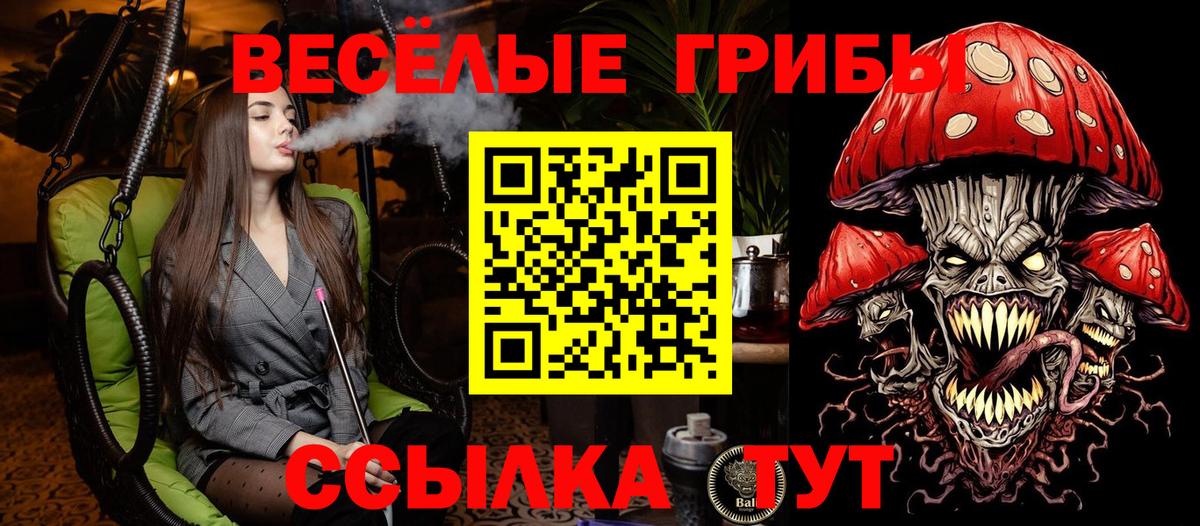 Кузнецк  Псилоцибиновые грибы Magic Shrooms  Галлюциногенные грибы Cubensis  Вход с VPN 