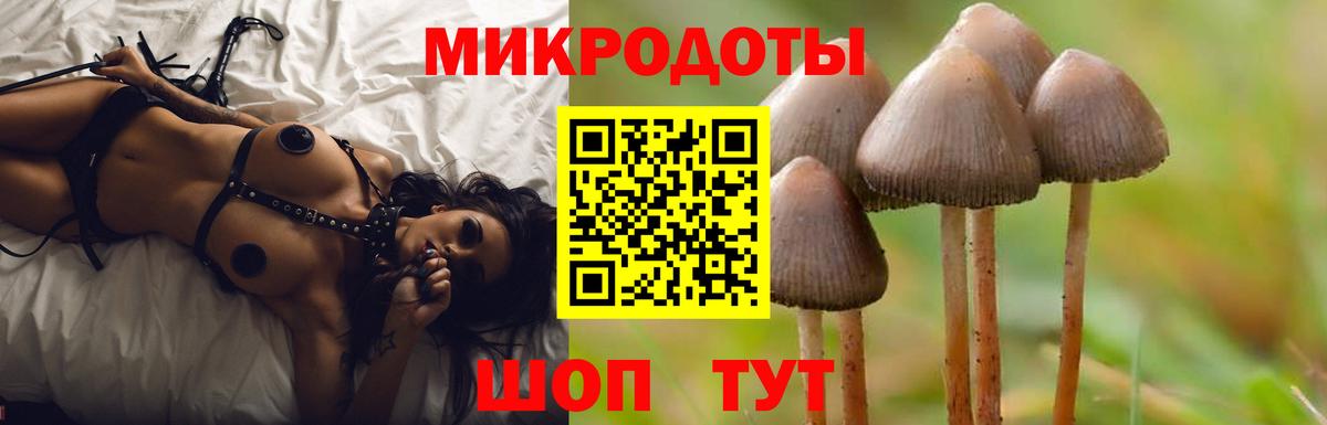 Псилоцибиновые грибы прущие грибы Кузнецк